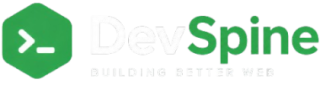 DevSpine Software Development Agency Lead Developer
